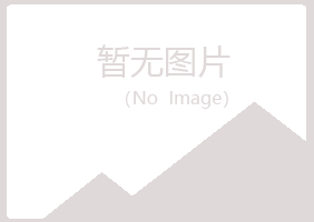 鹤岗夏日工程有限公司